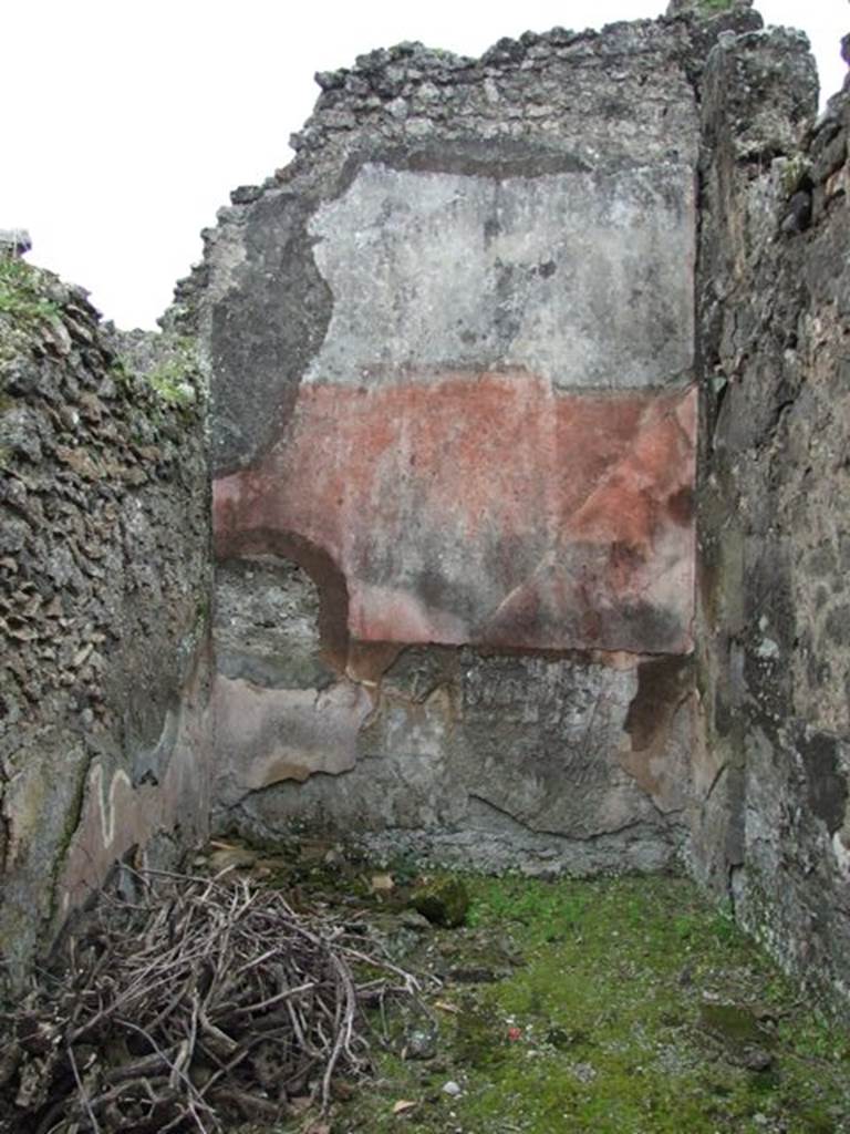 VII.14.5 Pompeii. March 2009. Room 12. South wall.