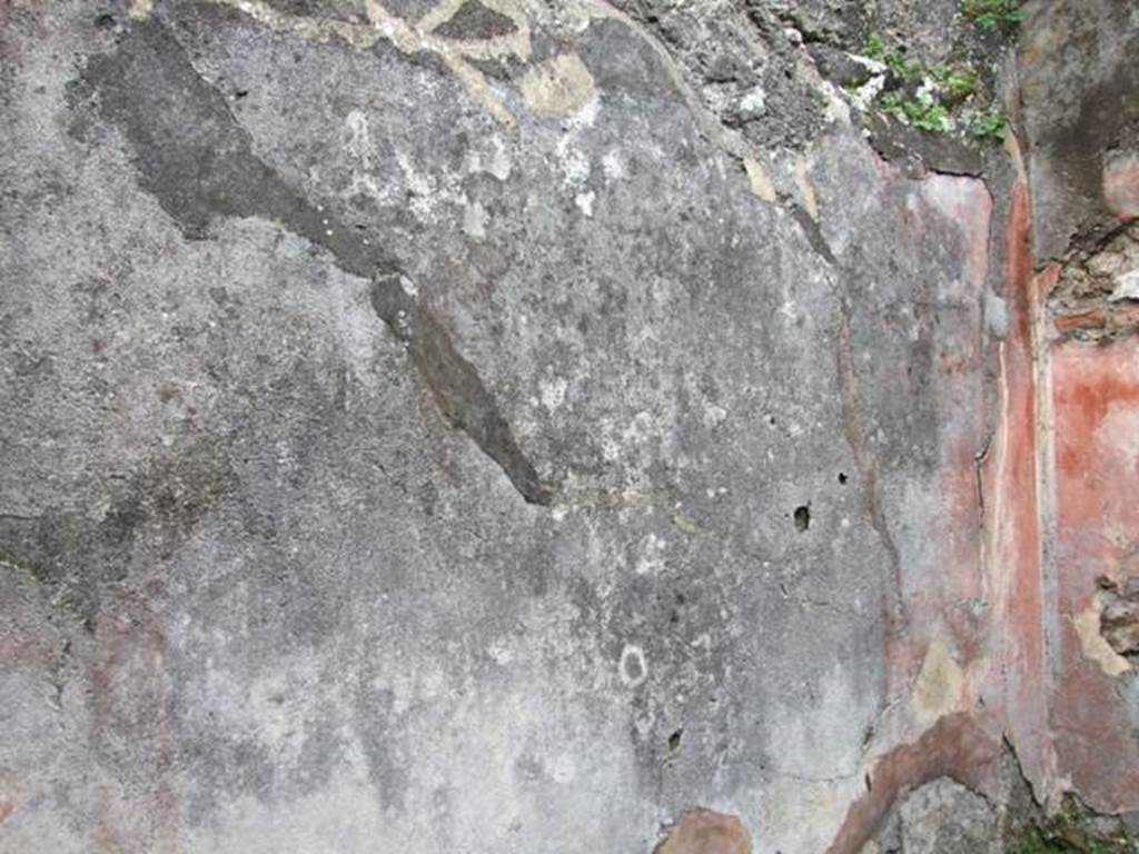 VII.14.5 Pompeii. March 2009. Room 13. East wall.