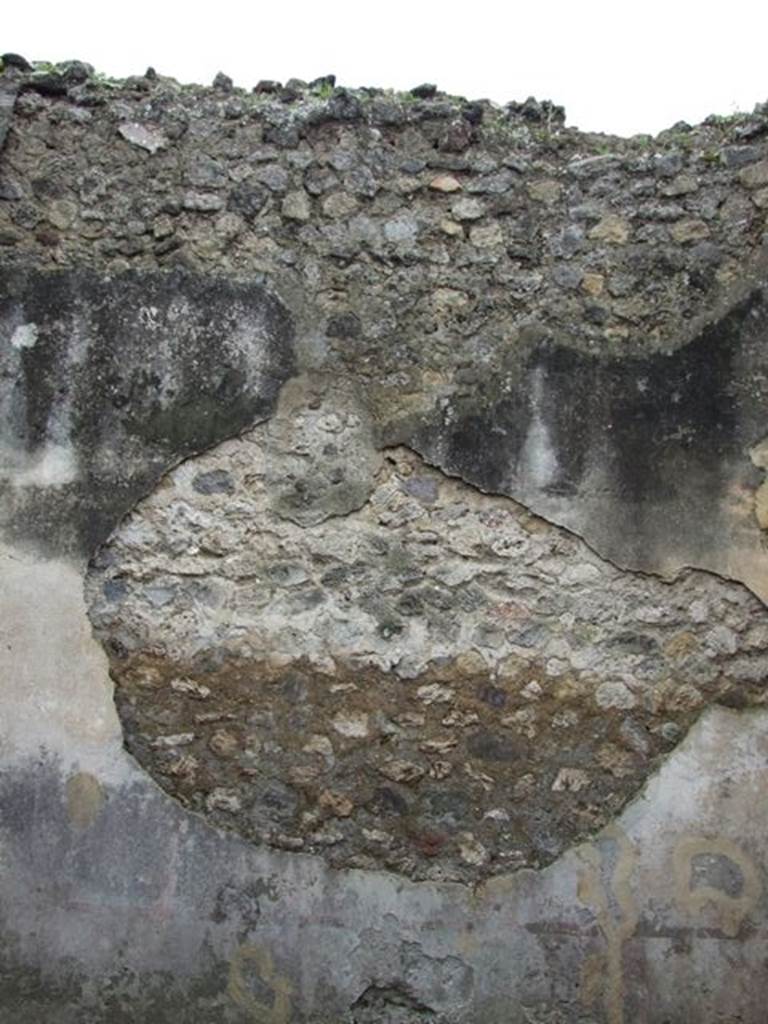VII.14.5 Pompeii. March 2009. Room 14. South wall.