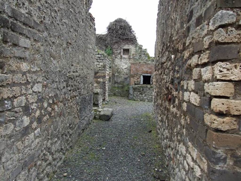 VII.14.5 Pompeii. March 2009. Room 15. Corridor leading south to kitchen area.