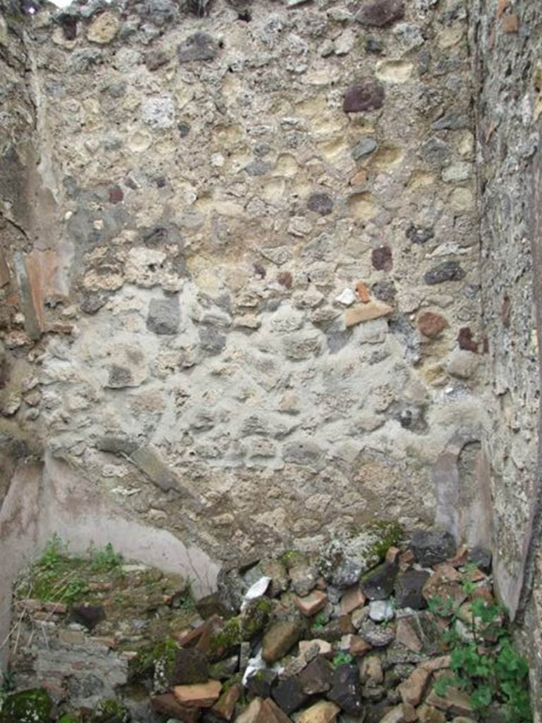 VII.14.5 Pompeii. March 2009. Room 20. North wall.