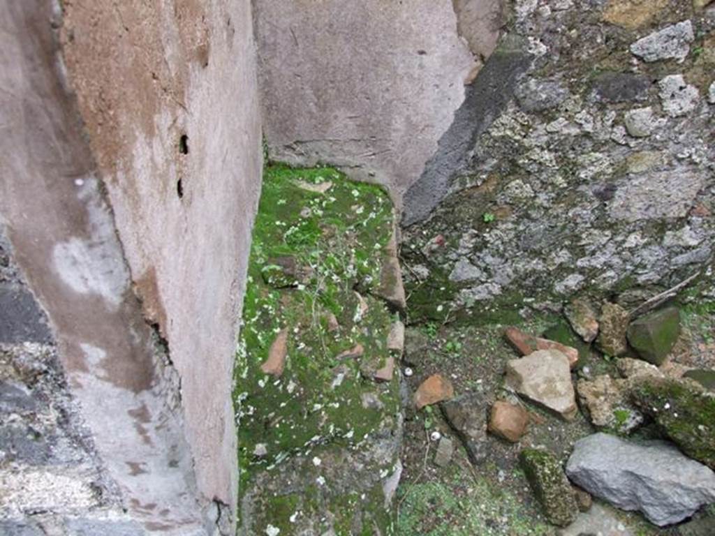 VII.14.5 Pompeii. March 2009. Room 20. South west corner.