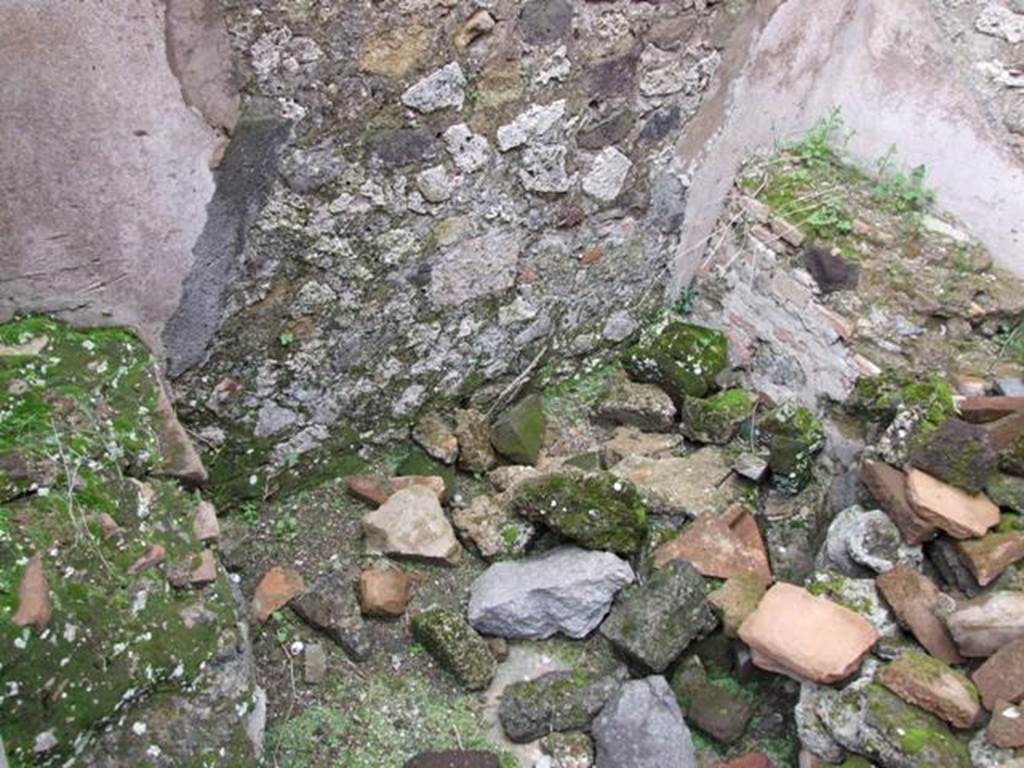 VII.14.5 Pompeii. March 2009. Room 20. West wall.