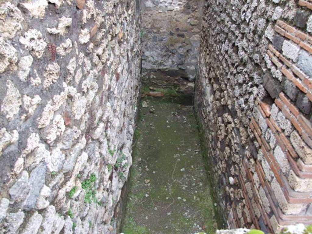 VII.14.9 Pompeii. March 2009. Room 8 Looking north.