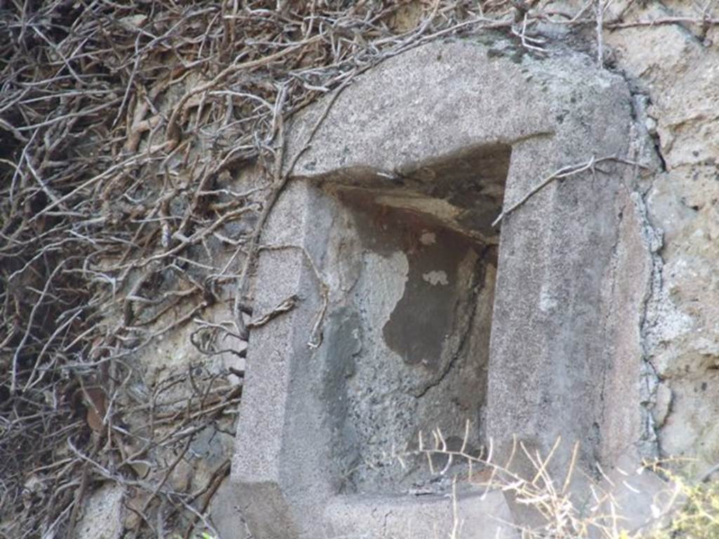 VII.14.19 Pompeii. December 2007. Lararium niche in south side of kitchen.