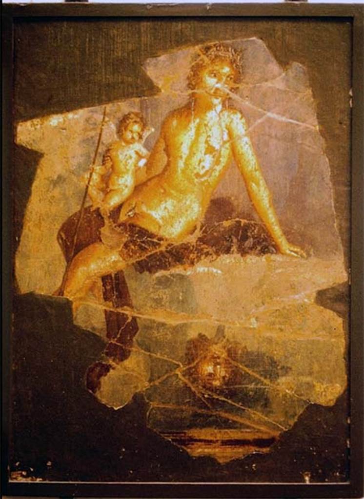 VII.15.2 Pompeii. Photographed in the Antiquarium in 1970.
From tablinum. Painting of Narcissus and Eros.
Narcissus wears a crown of ivy and is naked apart from a red cloak.
Leaning on his left hand he is looking at the very clear image mirrored in the water.
On his right thigh sits Eros also looking at the image in the water.
According to Sogliano, this was found in pieces and restored.
SAP inventory number 20877.
See Sogliano, A., 1879. Le pitture murali campane scoverte negli anni 1867-79. Napoli: Giannini, p.118, no.590.
See Garcia y Garcia, L., 2006. Danni di guerra a Pompei. Rome: L’Erma di Bretschneider, p. 185, fig. 429.
According to GdS – 16 April 1872 –
Nell’isoletta XV, e propriamente nella parte interna della seconda casa sul lato settentrionale del vicolo del gallo si era sterrato un dipinto a fresco, caduto sul pavimento del tablino, la cui parete sinistra ora abbattuta ne era anticamente decorata. Dai frammenti diligentemente raccolti e messi insieme risultala figura di Narciso coronato e sedente sopra un masso, che si specchia nel fonte, e sostiene un Amorino sulla gamba dritta, cui era poggiato il venabulo.
(In insula XV, and really in the inner part of the second house on the northern side of the Vicolo del Gallo, a fresco painting had been excavated, fallen down onto the floor of the tablinum, whose left wall was now fallen but once had been decorated. From the fragments diligently collected and put together resulted the figure of Narcissus crowned and seated upon a boulder, which is mirrored in the spring/fountain, and has a Cupid supported by his right leg, against which rested his hunting spear.)
See Giornale degli Scavi, 1872, April, 16, (p.420)