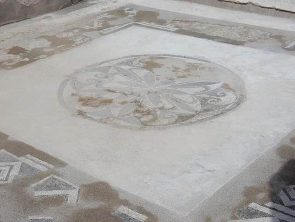 VII.15.2 Pompeii. May 2018. Detail from tablinum flooring. Photo courtesy of Buzz Ferebee.
