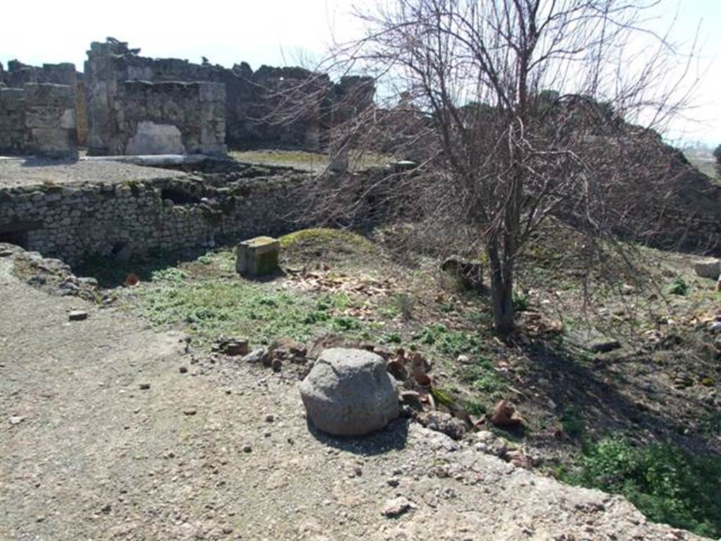 VII.15.2 Pompeii. March 2009. Looking south west across garden area to Tablinum.