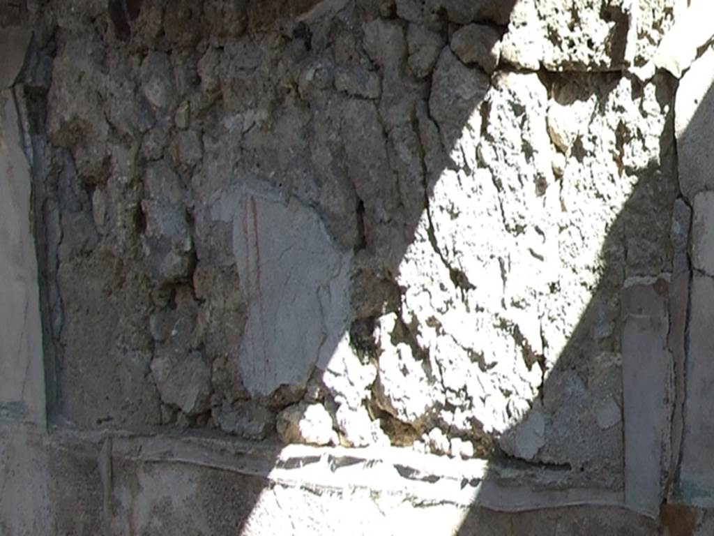 VII.15.2 Pompeii. March 2009. Apodyterium. East wall. Remaining fragment of painting of the Punishment of Dirce.