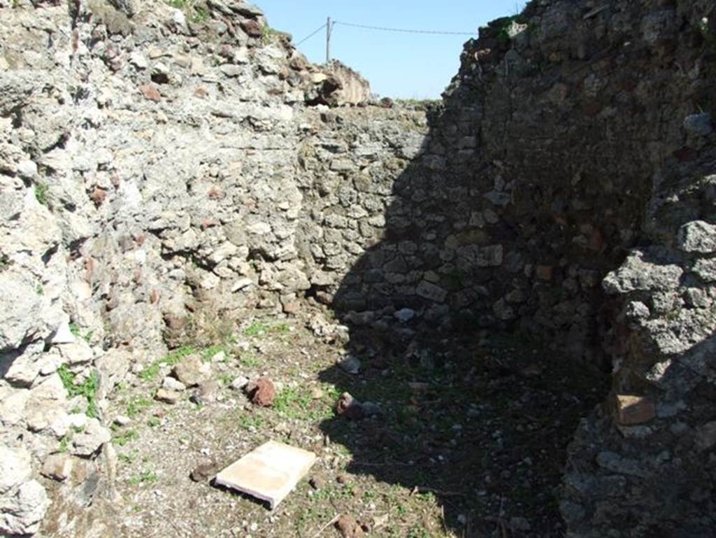 VII.15.2 Pompeii. March 2009. Frigidarium. When excavated, this was in a very ruinous state.