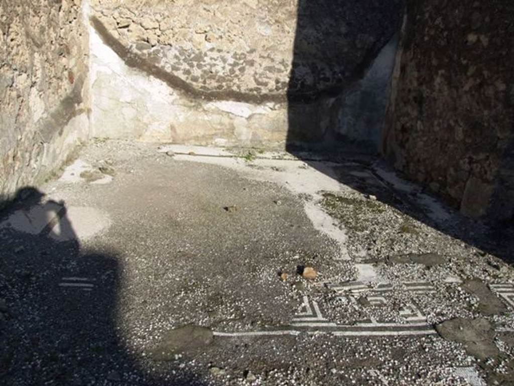 VII.15.2 Pompeii. December 2007. Mosaic floor in Ala on east side.