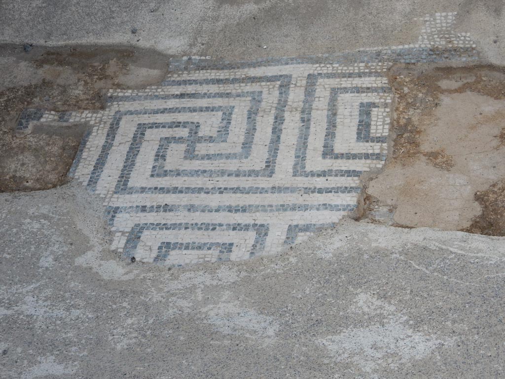 VII.15.2 Pompeii. May 2018.
Detail of black and white mosaic in entrance corridor on east side, looking south. Photo courtesy of Buzz Ferebee.