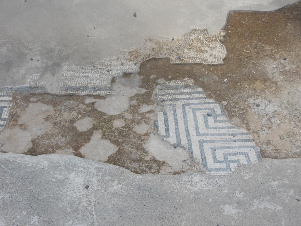 VII.15.2 Pompeii. May 2018.
Detail of black and white mosaic in entrance corridor on west side, looking south. Photo courtesy of Buzz Ferebee.