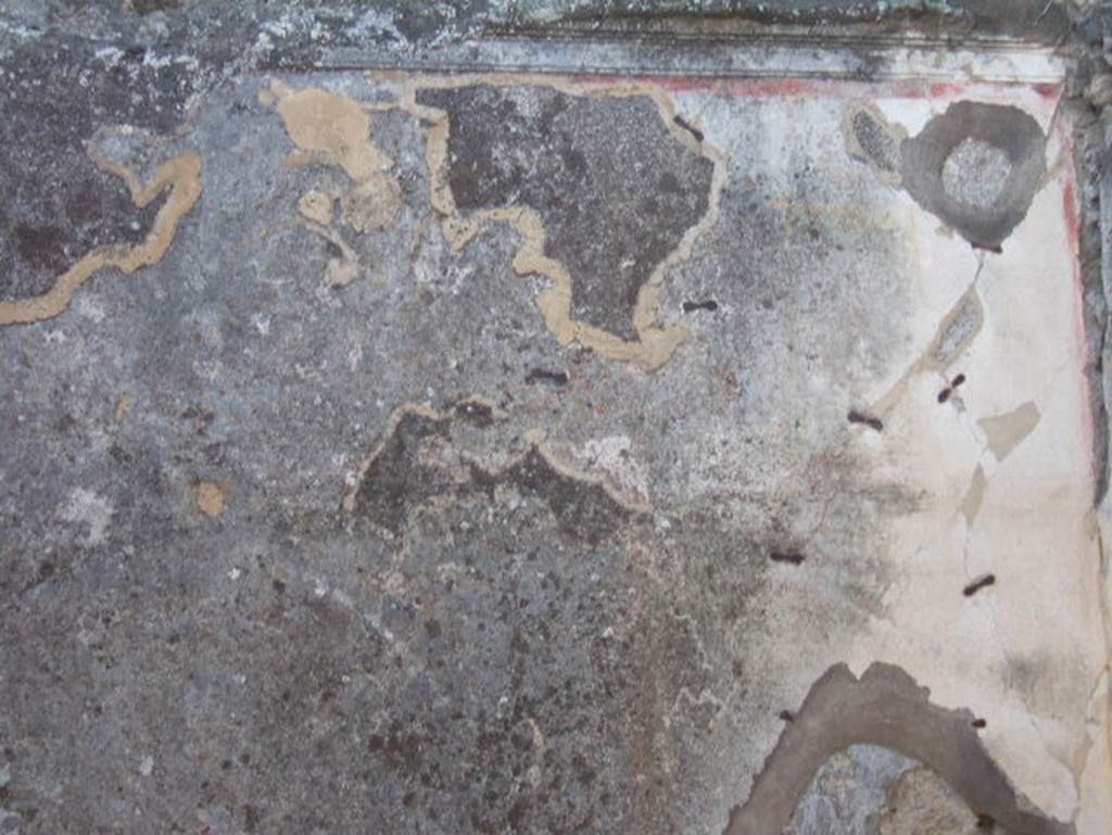 VII.15.3 Pompeii. September 2005. Wall of cubiculum.