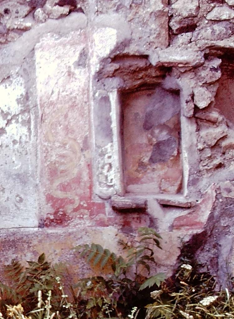 VII.15.5 Pompeii, 1978. Detail of lararium painting with yellow serpents on north wall of garden area.
Detail from photo by Stanley A. Jashemski.
Source: The Wilhelmina and Stanley A. Jashemski archive in the University of Maryland Library, Special Collections (See collection page) and made available under the Creative Commons Attribution-Non-Commercial License v.4. See Licence and use details.
J78f0237