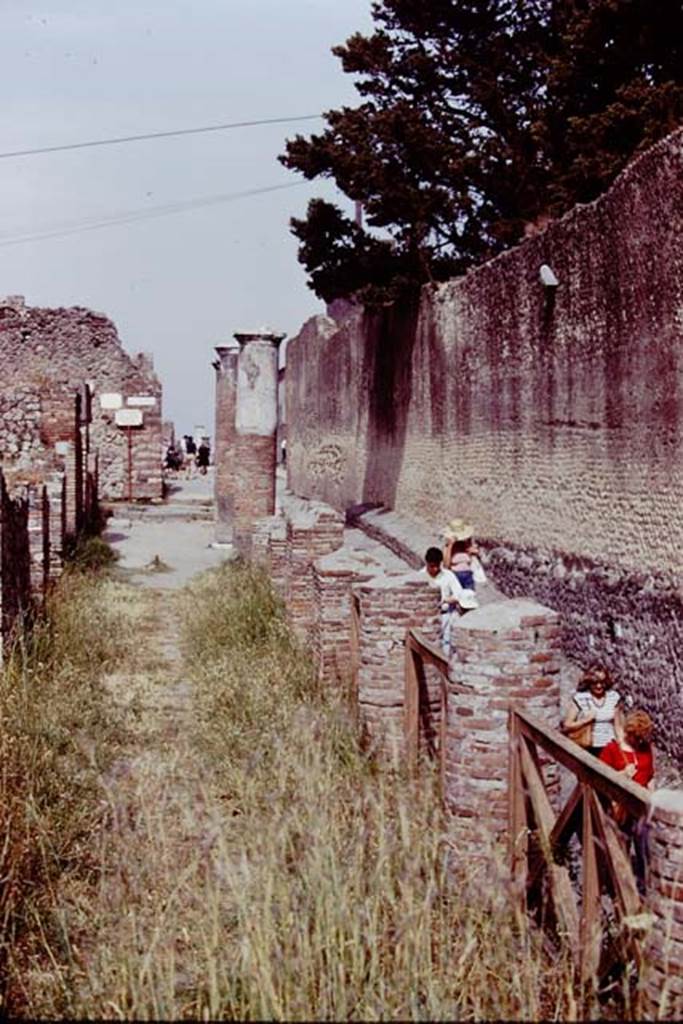 VII.16 Pompeii, 1978. Looking east along the remains of the large portico. Photo by Stanley A. Jashemski.
Source: The Wilhelmina and Stanley A. Jashemski archive in the University of Maryland Library, Special Collections (See collection page) and made available under the Creative Commons Attribution-Non Commercial License v.4. See Licence and use details. J78f0239