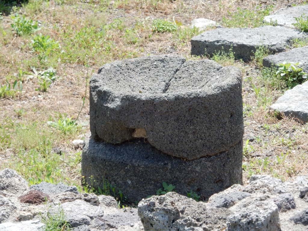 VII.16.6 Pompeii. June 2019. Looking south. Photo courtesy of Buzz Ferebee.