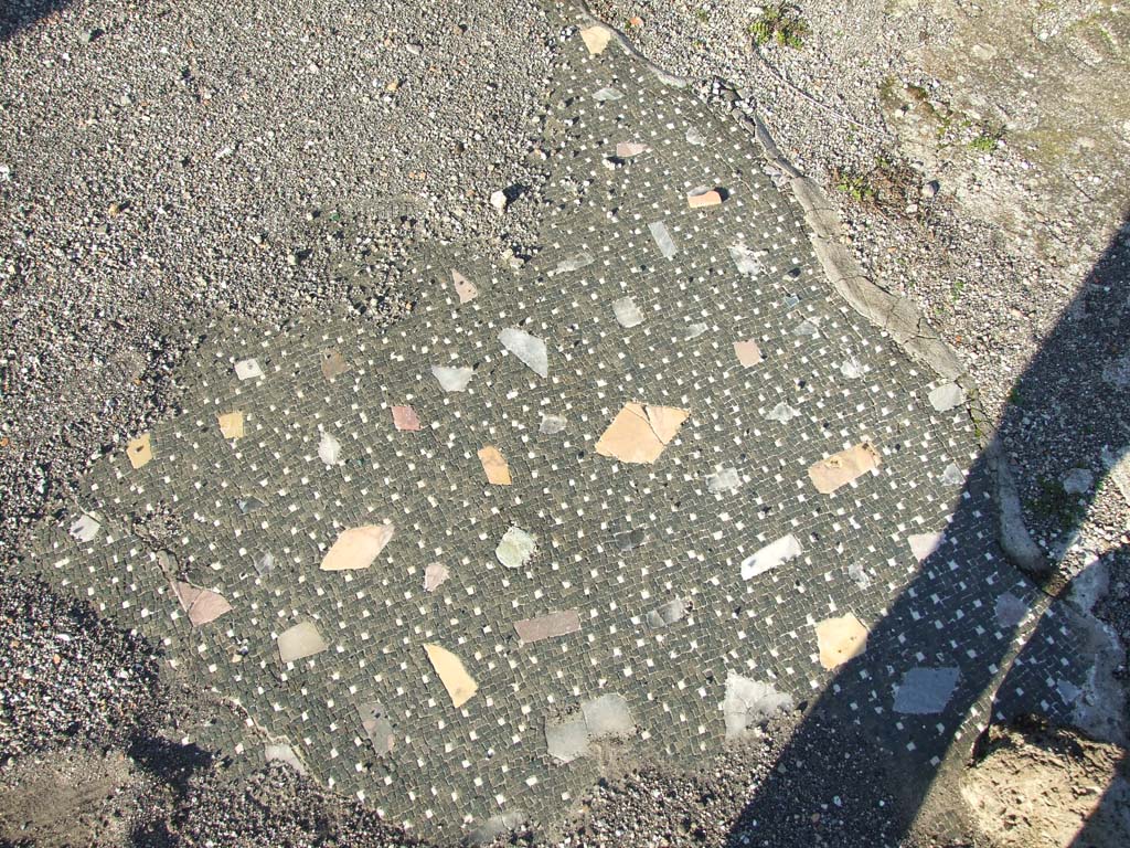 VII.16.13 Pompeii. December 2007. Room 2, floor in atrium.
According to Mau, the floor of the atrium is made of a black mosaic with pieces of coloured marble arranged in rows, and white stripes at the edges.
See Mau, A., 1907, translated by Kelsey F. W. Pompeii: Its Life and Art. New York: Macmillan. (p. 300).