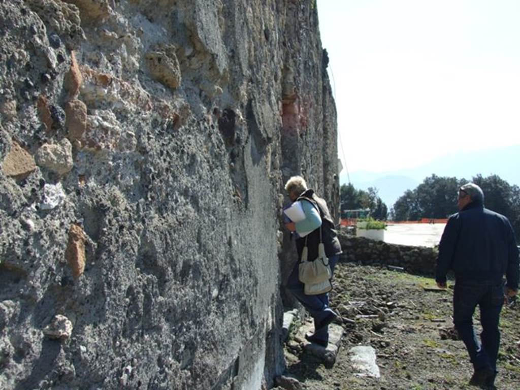VII.16.13 Pompeii. March 2009. Area 44, looking south towards area 45 and doorway to room 47 on left.