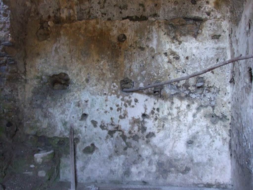 VII.16.13 Pompeii. March 2009. Room 47, east wall.