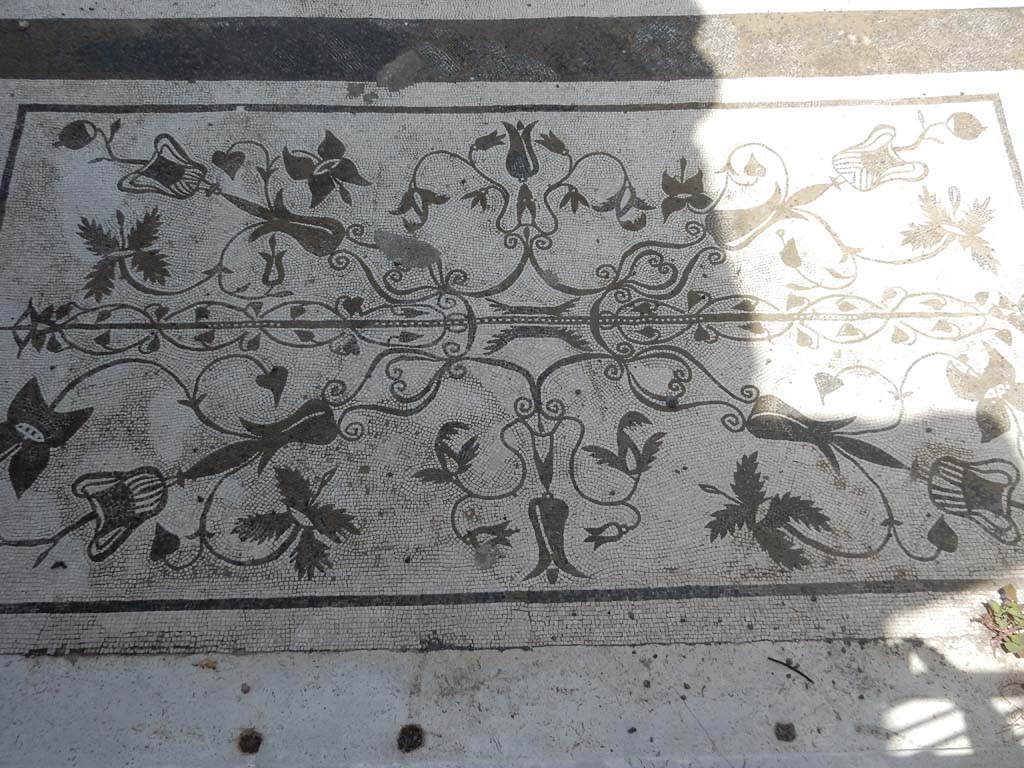 VII.16.13 Pompeii. June 2019. Entrance mosaic. Photo courtesy Buzz Ferebee.