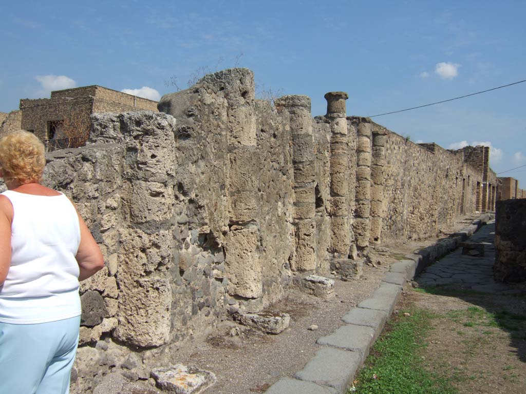 South perimeter wall of VII.16.17 with half columns. September 2005. Vicolo dei Soprastanti, looking east.