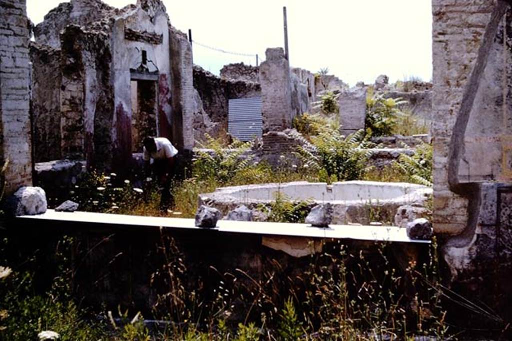 VII.16.22 Pompeii. 1964. Looking south from the large room to the courtyard garden, on the street level garden (top floor). Photo by Stanley A. Jashemski.
Source: The Wilhelmina and Stanley A. Jashemski archive in the University of Maryland Library, Special Collections (See collection page) and made available under the Creative Commons Attribution-Non Commercial License v.4. See Licence and use details.
J64f2023