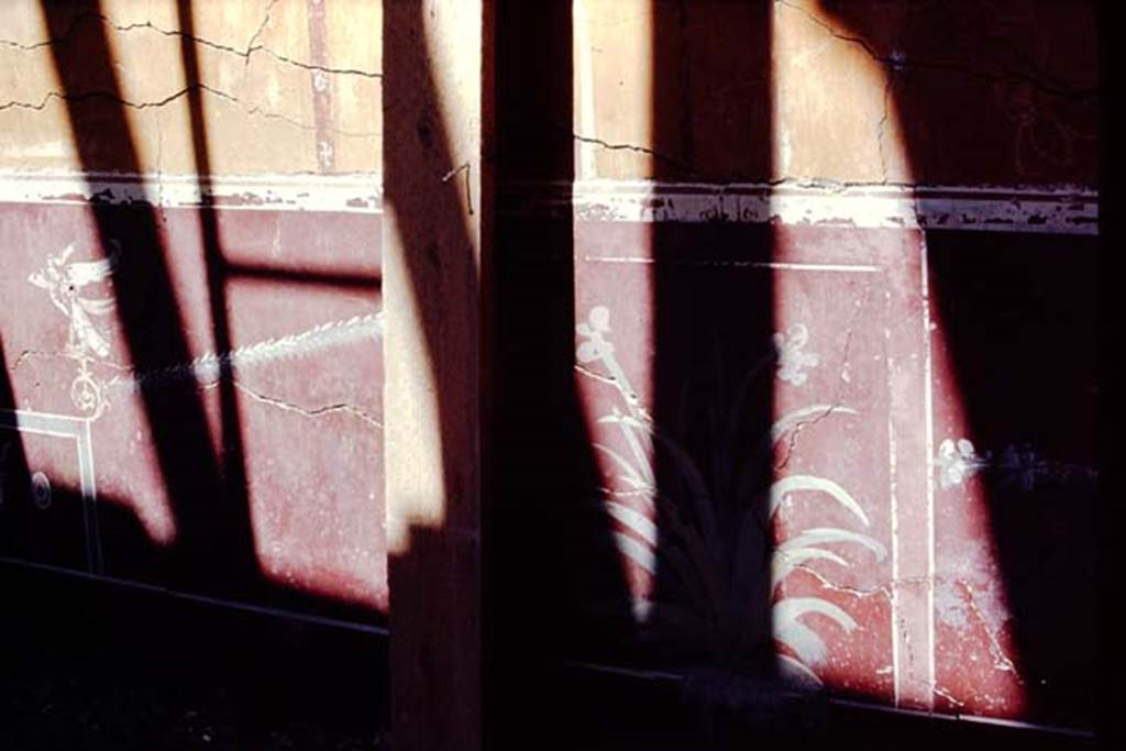 VII.16.22 Pompeii, 1968. Room 17, detail of zoccolo on east wall.  
Source: The Wilhelmina and Stanley A. Jashemski archive in the University of Maryland Library, Special Collections (See collection page) and made available under the Creative Commons Attribution-Non-Commercial License v.4. See Licence and use details.
J68f1640
