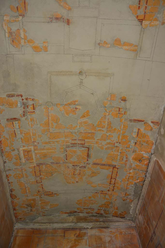 VII.16.22 Pompeii. October 2018. Room 47, ceiling.
Foto Annette Haug, ERC Grant 681269 DÉCOR.