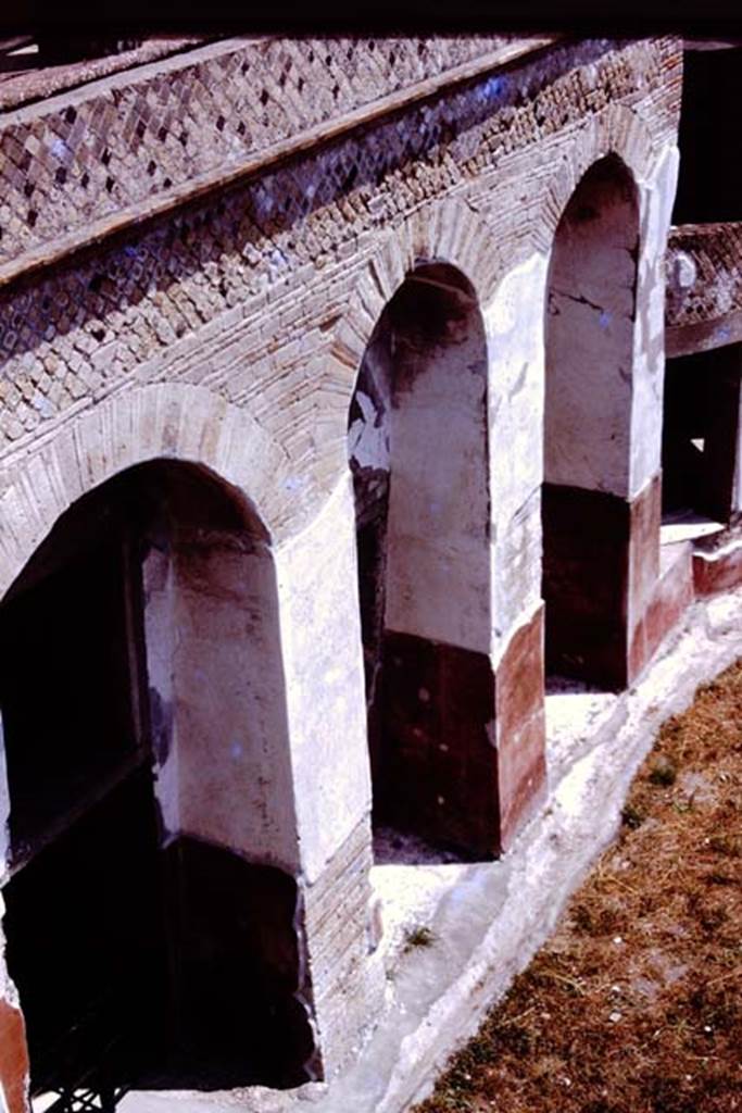 VII.16.17-22 Pompeii, 1980. Detail of exterior west wall. Photo by Stanley A. Jashemski.
Source: The Wilhelmina and Stanley A. Jashemski archive in the University of Maryland Library, Special Collections (See collection page) and made available under the Creative Commons Attribution-Non Commercial License v.4. See Licence and use details. J80f0210