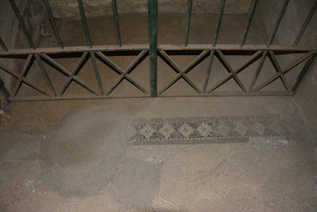 VII.16.22 Pompeii. October 2018. Room 72, detail of mosaic threshold in anteroom. Looking east.
Foto Annette Haug, ERC Grant 681269 DÉCOR.