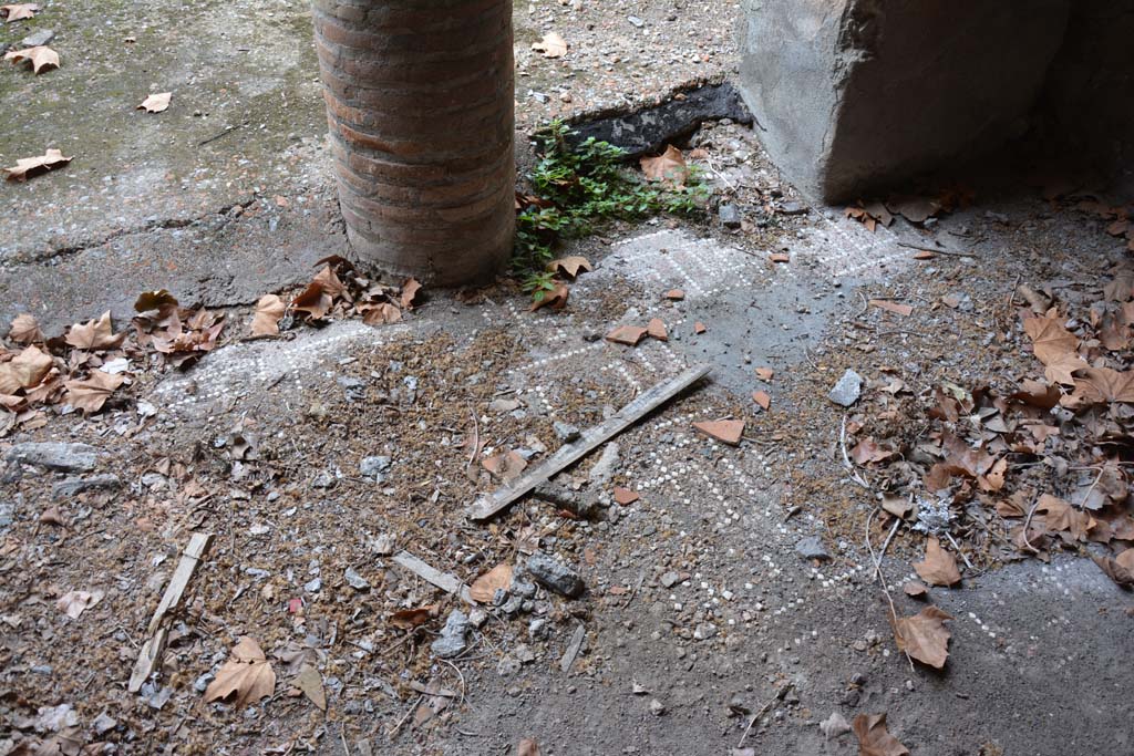 VII.16.17-22 Pompeii. October 2018. Peristyle 14, detail of flooring.
Foto Annette Haug, ERC Grant 681269 D�COR.
