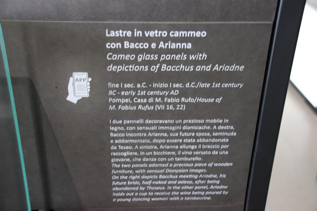 VII.16.17-22 Pompeii. October 2022. Information card on display in exhibition in Palaestra. Photo courtesy of Klaus Heese.