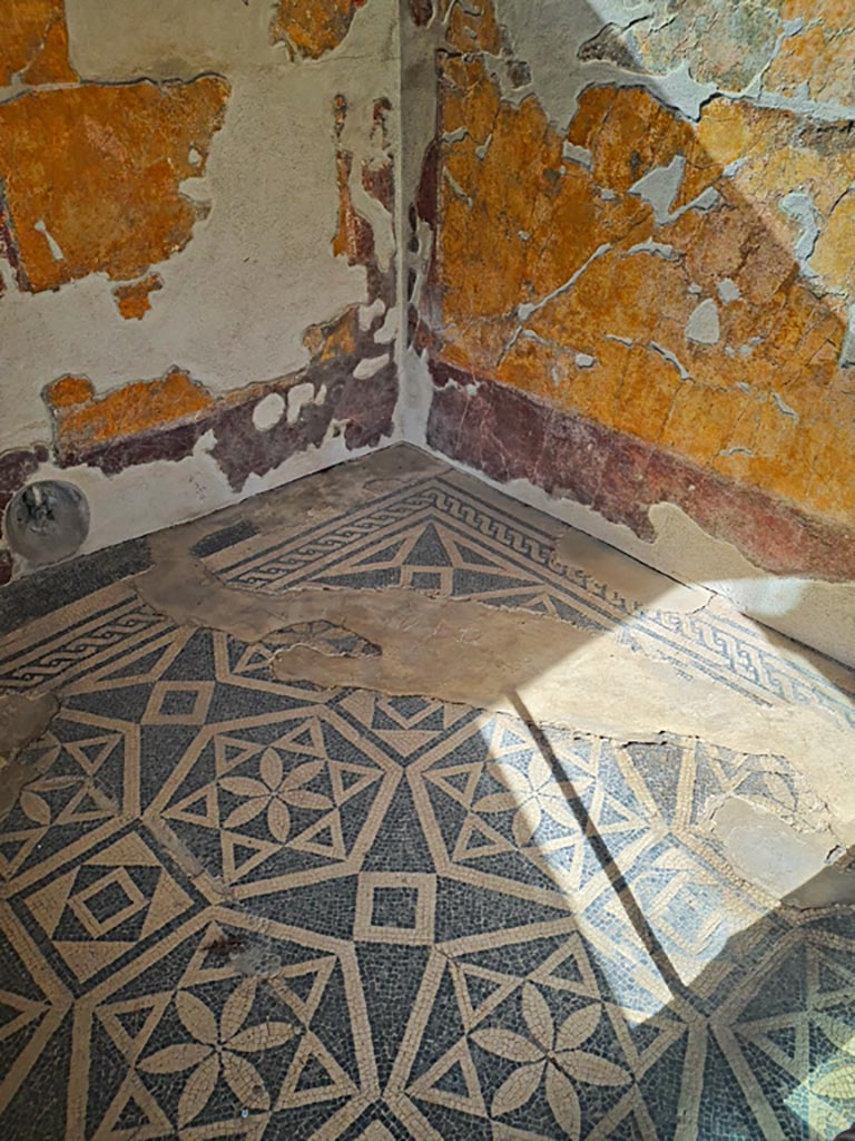 VII.16.a Pompeii. November 2023.
Room 1, mosaic in north-east corner of floor. Photo courtesy of Giuseppe Ciaramella.