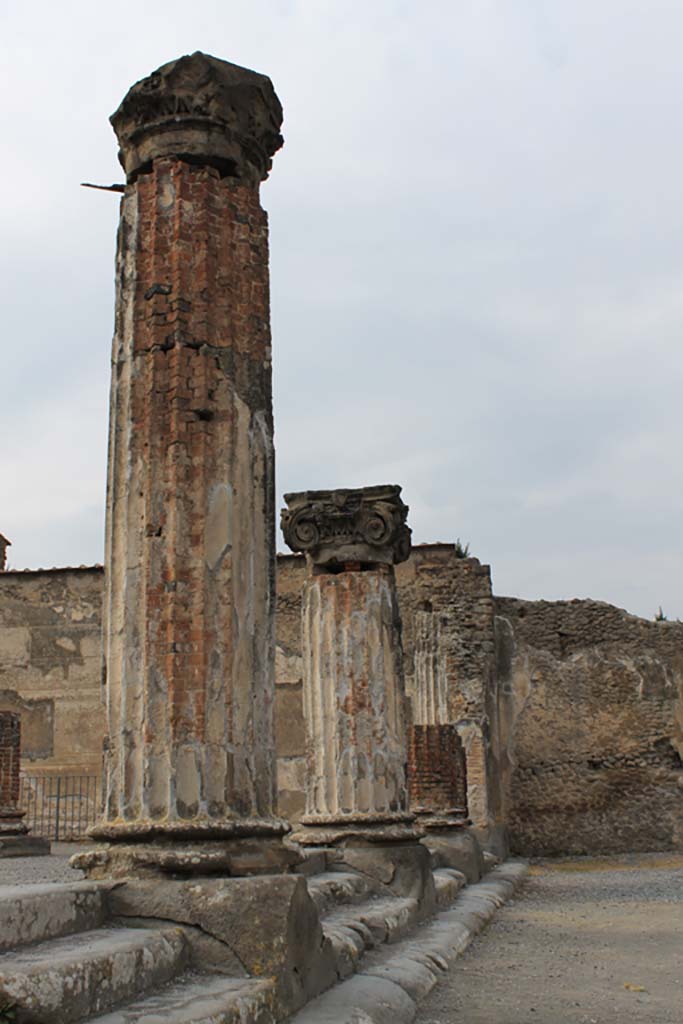 VIII.1.1 Pompeii. March 2014. Looking north along line of columns and steps.
Foto Annette Haug, ERC Grant 681269 DÉCOR.