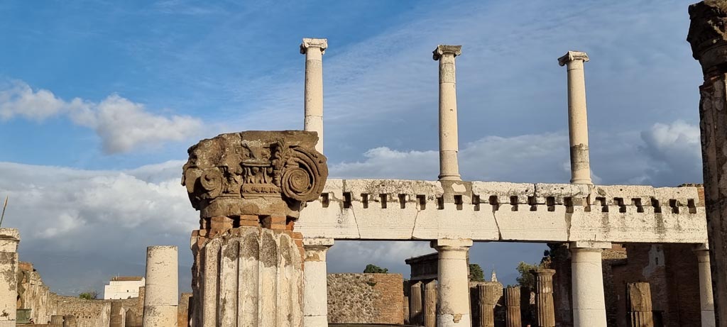 VIII.1.1 Pompeii. December 2023. Capital on column in Basilica, looking east. Photo courtesy of Miriam Colomer.