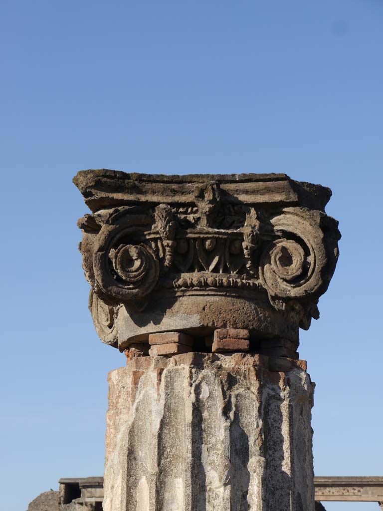 VIII.1.1, Pompeii. March 2019. Detail of capital in Basilica.
Foto Anne Kleineberg, ERC Grant 681269 DÉCOR.