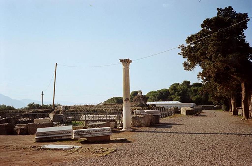 VIII.1.3 Pompeii. January 2010. Looking west from entrance. Photo courtesy of Rick Bauer. According to Garcia y Garcia, one of the best descriptions of this temple was made in A. Mau: Pompeii, Its life and arts. See Mau, A., 1907, translated by Kelsey, F. W., Pompeii: Its Life and Art. New York: Macmillan. (p. 124-129). When this temple was discovered it was totally ruined due to the AD62 earthquake. It was in the process of being reconstructed by the ancient pompeians. The excavations were then bombed on 24th August 1943 causing the demolition of the foundation of the portico, to the west, south and east.
The north and south sides of the foundation of the temple were hit again in the night raid of 20th September 1943. See Garcia y Garcia, L., 2006. Danni di guerra a Pompei. Rome: L’Erma di Bretschneider. (p.138)