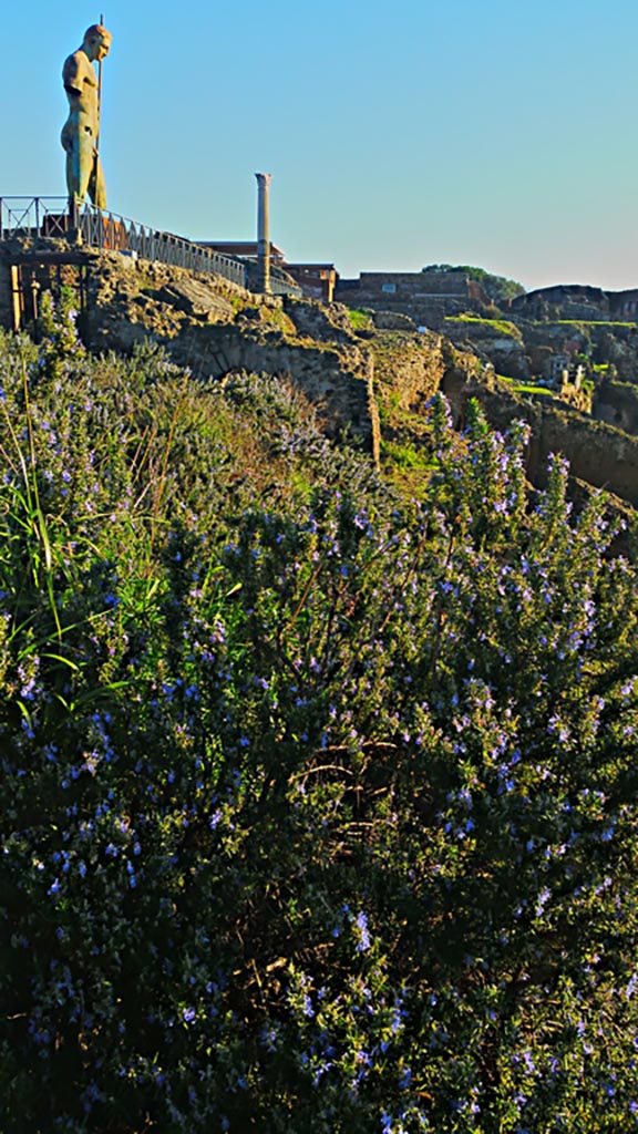VIII.1.3 Pompeii. December 2019.
Looking east from south-west corner at rear of Temple. Photo courtesy of Giuseppe Ciaramella.