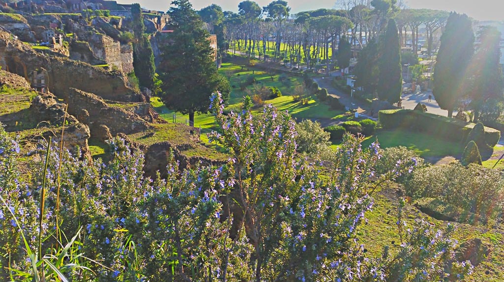 VIII.1.3 Pompeii. December 2019.
Looking south-east across rear of VIII.1 and VIII.2, from exit of site. Photo courtesy of Giuseppe Ciaramella.