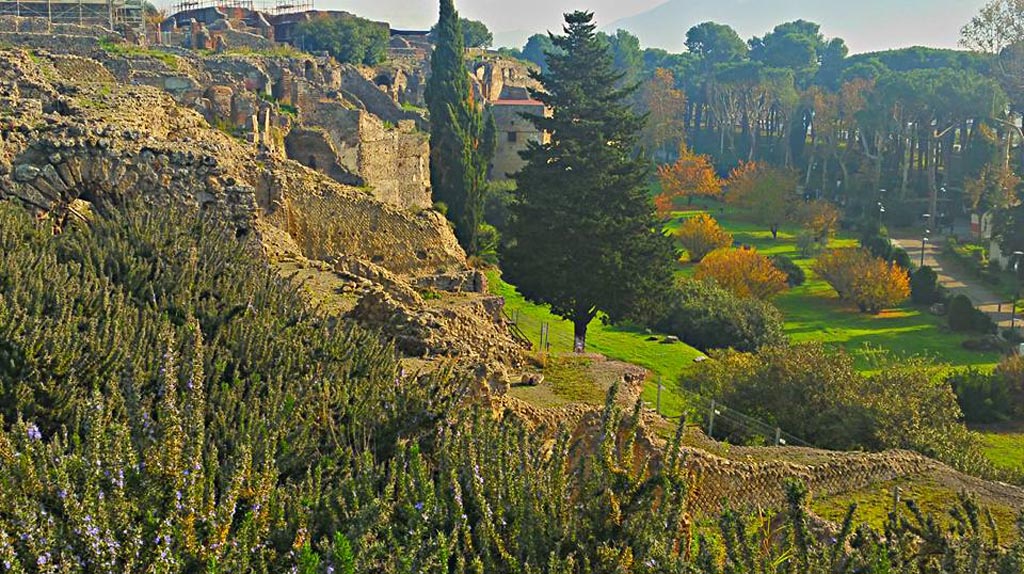 VIII.1.3 Pompeii. 2015/2016.
Looking south-east across rear of VIII.1 and VIII.2, from exit of site. Photo courtesy of Giuseppe Ciaramella.
