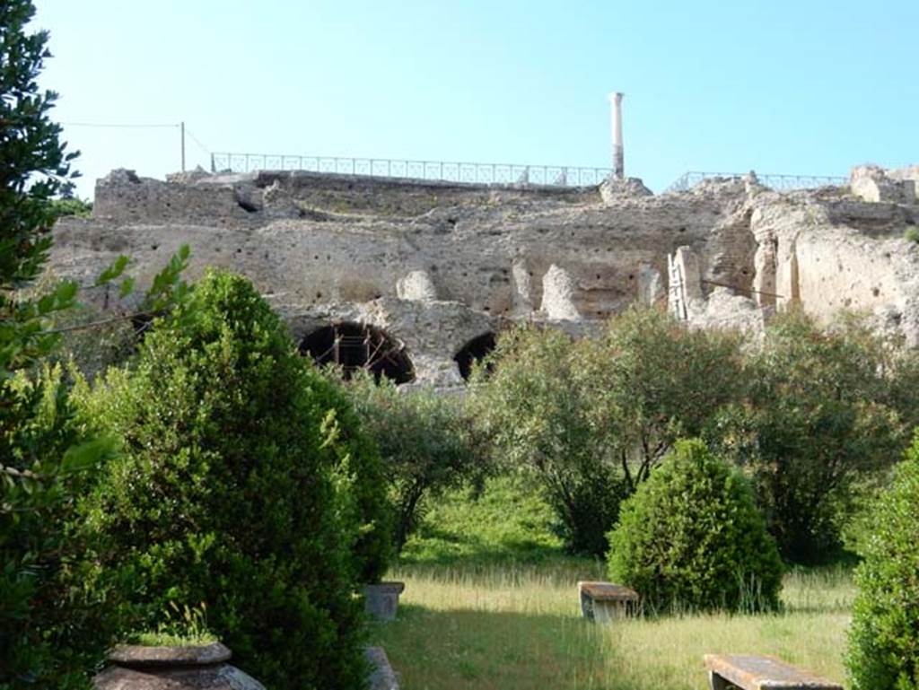 VIII.1.3 Pompeii. May 2015. Looking north towards rear of Temple of Venus.
Photo courtesy of Buzz Ferebee.