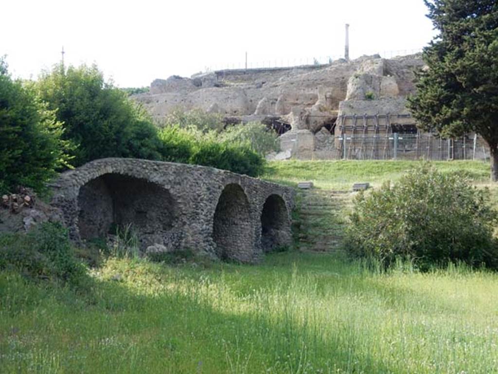 VIII.1.3 Pompeii. May 2015. Looking north-west at rear of Temple of Venus.
Photo courtesy of Buzz Ferebee.