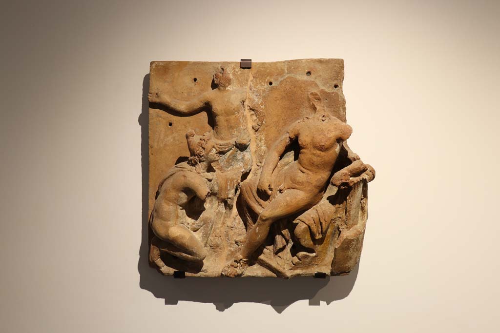 VIII.1.4 Pompeii Antiquarium. February 2021. Terracotta plaque found in VI.17.42, of a floral frieze with gods and cupids.
Photo courtesy of Fabien Bièvre-Perrin (CC BY-NC-SA).