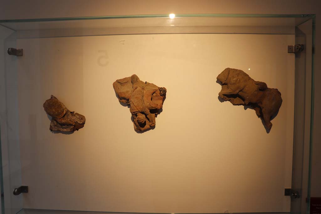 VIII.1.4 Pompeii. February 2021. Terracotta frieze with battle scenes, from area of the Triangular Forum, domus publica, at VIII.7.31.
Photo courtesy of Fabien Bièvre-Perrin (CC BY-NC-SA).