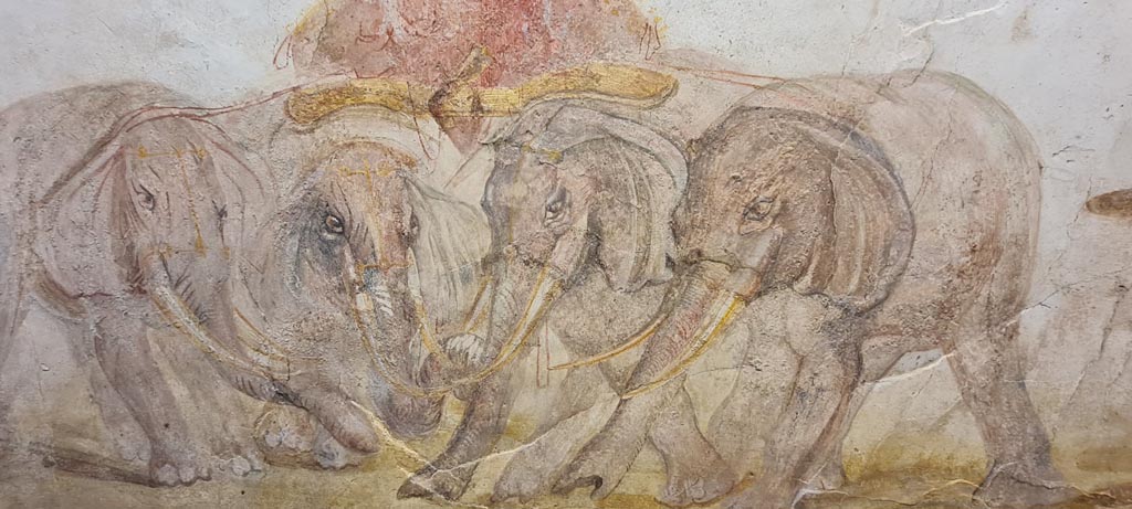 VIII.1.4 Pompeii. April 2022.
Detail of elephants from fresco outside House of Verecundus, between doorways IX.7.7 and IX.7.6. Photo courtesy of Giuseppe Ciaramella.