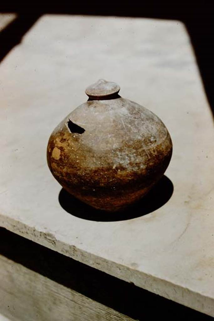 VIII.1.4 Pompeii Antiquarium. 1961. Terracotta money box, as shown in Gusman's drawing? Photo by Stanley A. Jashemski.
Source: The Wilhelmina and Stanley A. Jashemski archive in the University of Maryland Library, Special Collections (See collection page) and made available under the Creative Commons Attribution-Non-Commercial License v.4. See Licence and use details.
J61f0799
