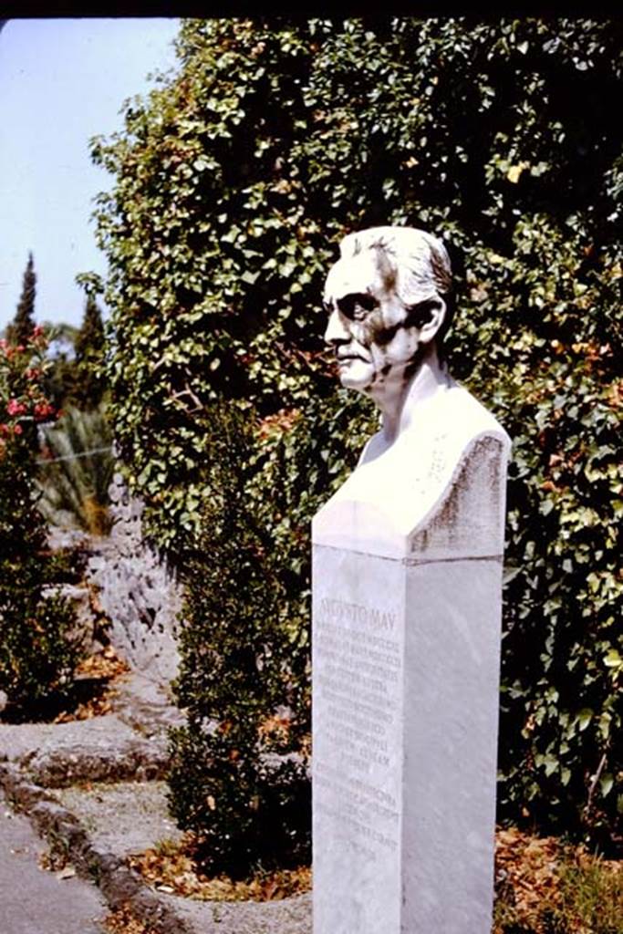 Larario dei Pompeianisti. Pompeii. 1964. Bust of Augusto Mau. Photo by Stanley A. Jashemski.
Source: The Wilhelmina and Stanley A. Jashemski archive in the University of Maryland Library, Special Collections (See collection page) and made available under the Creative Commons Attribution-Non Commercial License v.4. See Licence and use details.
J64f2019