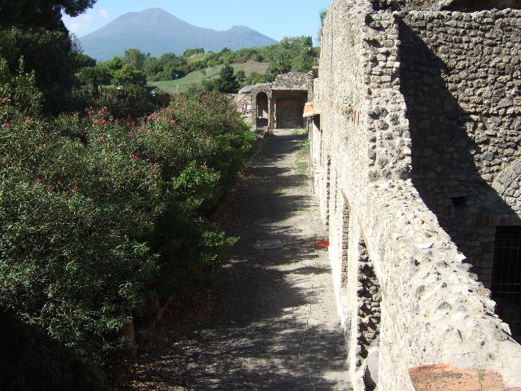 VIII.1.a Pompeii. Villa Imperiale. September 2005. Looking west along garden and portico.