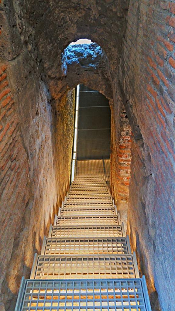 VIII.2.1 Pompeii. 2017/2018/2019
Looking down steps to cryptoporticus on lower level 1. Photo courtesy of Giuseppe Ciaramella.